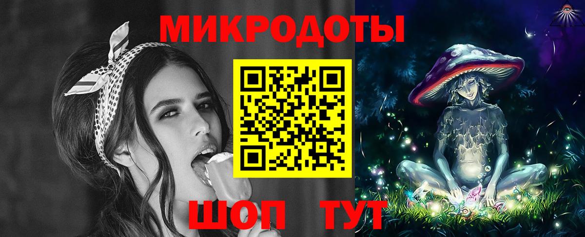 Псилоцибиновые грибы Psilocybe Армавир