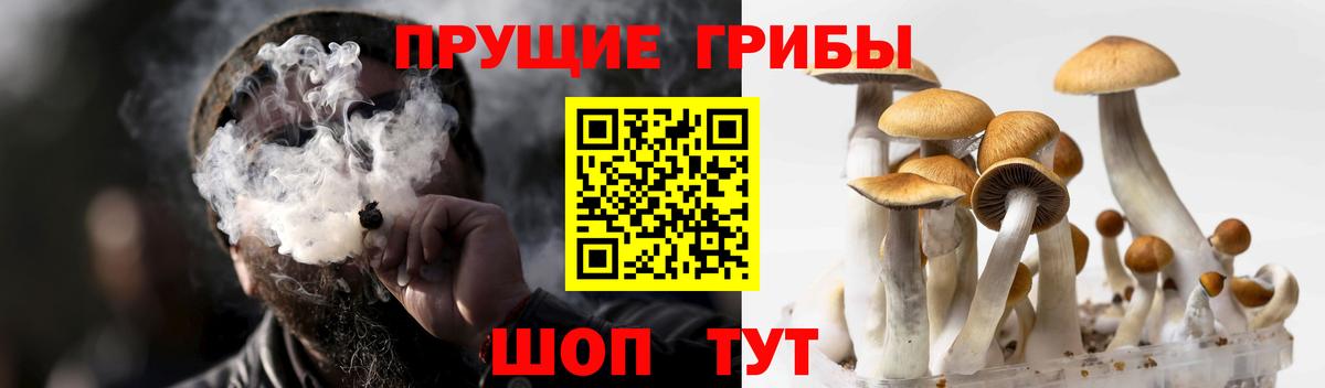 Армавир  Галлюциногенные грибы прущие грибы  Вход с VPN 
